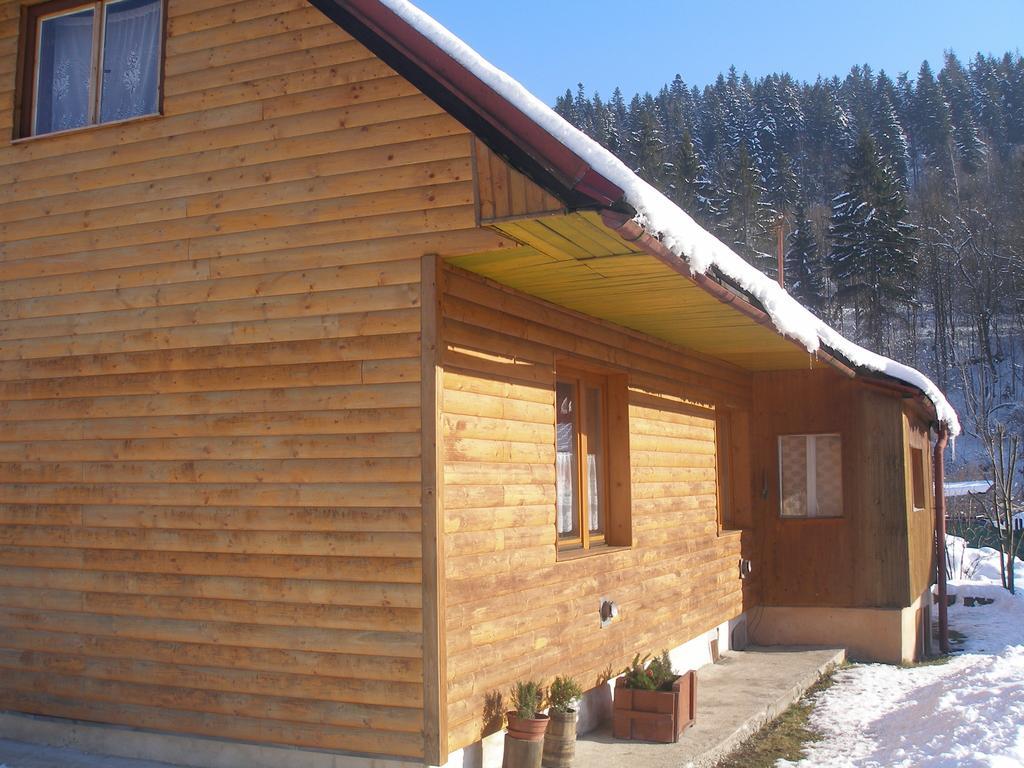 Villa Chalupa Iveta à Oscadnica Extérieur photo